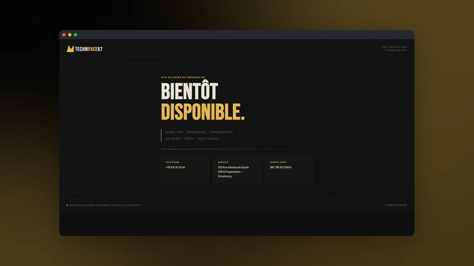 Techniface67 Corporate Website